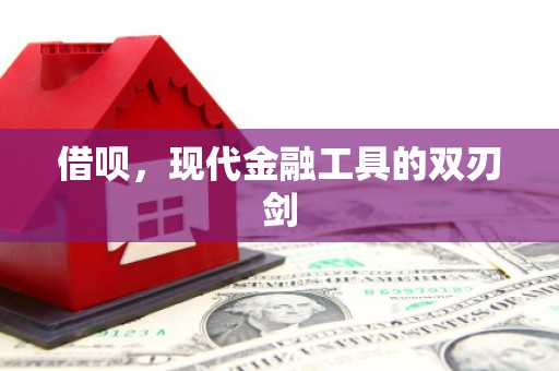 丰城借呗，现代金融工具的双刃剑
