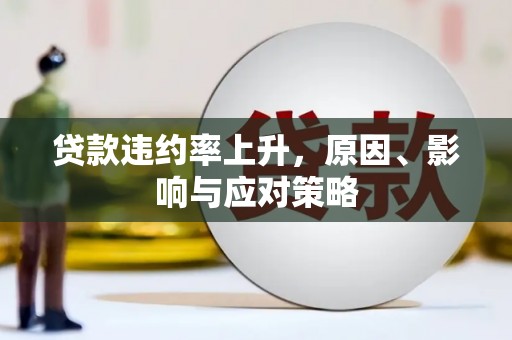 丰城贷款违约率上升，原因、影响与应对策略