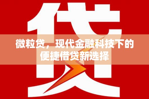 丰城微粒贷，现代金融科技下的便捷借贷新选择