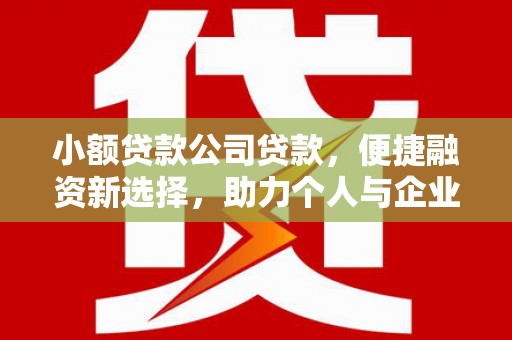 丰城小额贷款公司贷款，便捷融资新选择，助力个人与企业成长