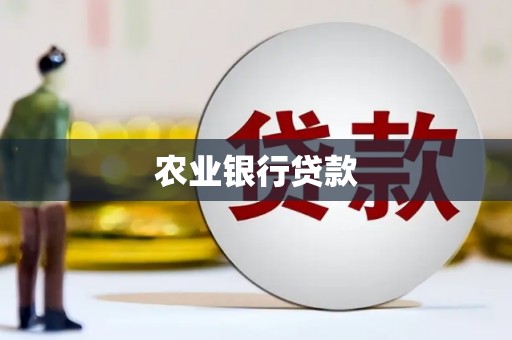 丰城农业银行贷款