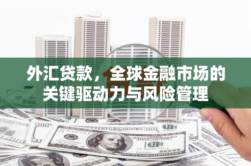 丰城外汇贷款，全球金融市场的关键驱动力与风险管理