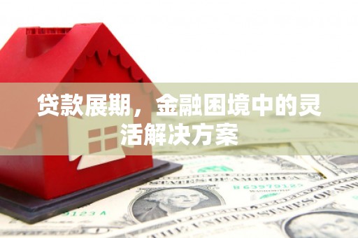 丰城贷款展期，金融困境中的灵活解决方案