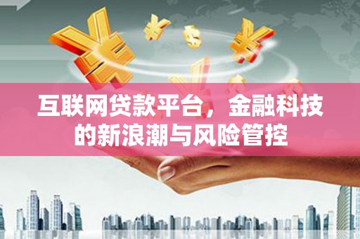 丰城互联网贷款平台，金融科技的新浪潮与风险管控