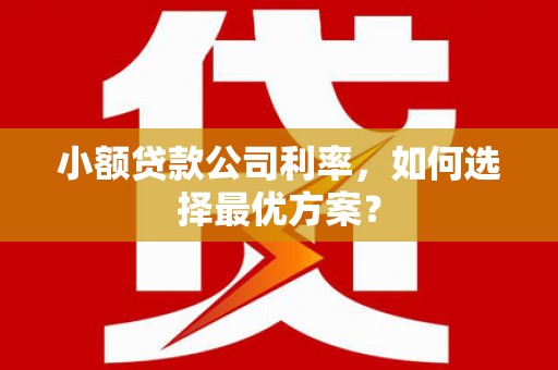 丰城小额贷款公司利率，如何选择最优方案？