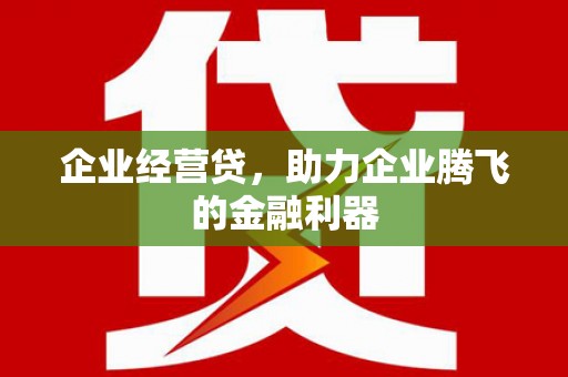 丰城企业经营贷，助力企业腾飞的金融利器