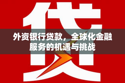 丰城外资银行贷款，全球化金融服务的机遇与挑战