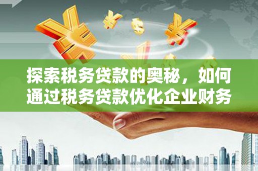 丰城探索税务贷款的奥秘，如何通过税务贷款优化企业财务