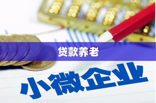 丰城贷款养老