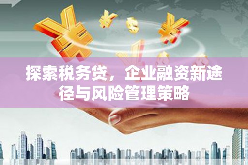 丰城探索税务贷，企业融资新途径与风险管理策略