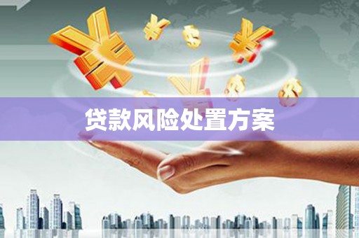 丰城贷款风险处置方案