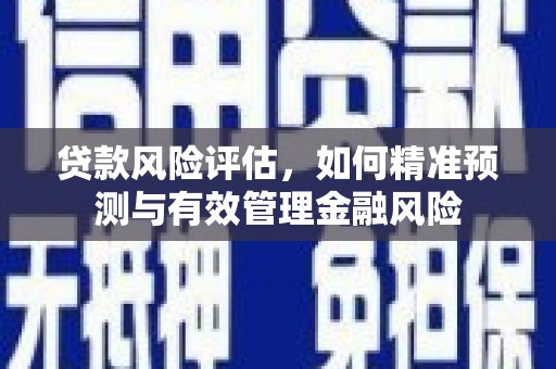 丰城贷款风险评估，如何精准预测与有效管理金融风险
