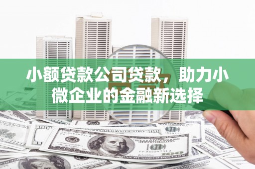丰城小额贷款公司贷款，助力小微企业的金融新选择
