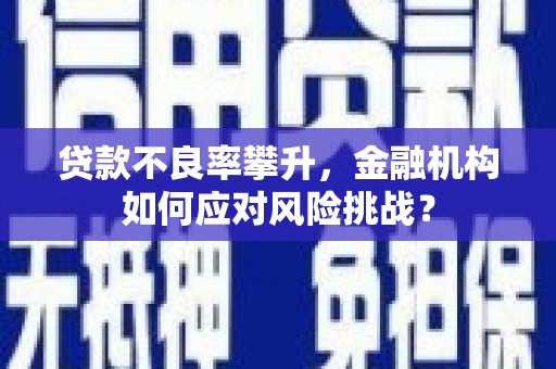 丰城贷款不良率攀升，金融机构如何应对风险挑战？