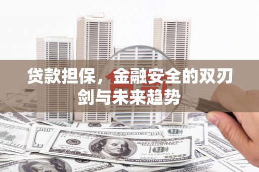 丰城贷款担保，金融安全的双刃剑与未来趋势