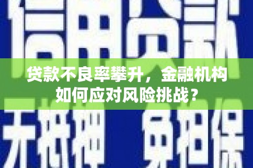丰城贷款不良率攀升，金融机构如何应对风险挑战？