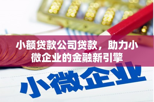 丰城小额贷款公司贷款，助力小微企业的金融新引擎