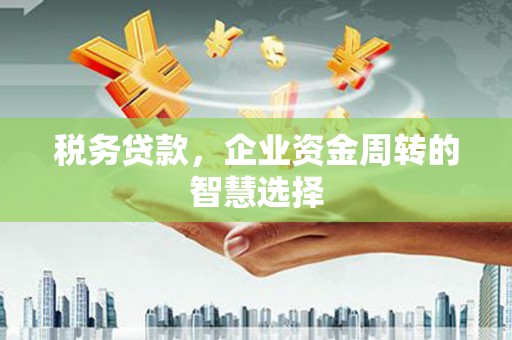 丰城税务贷款，企业资金周转的智慧选择