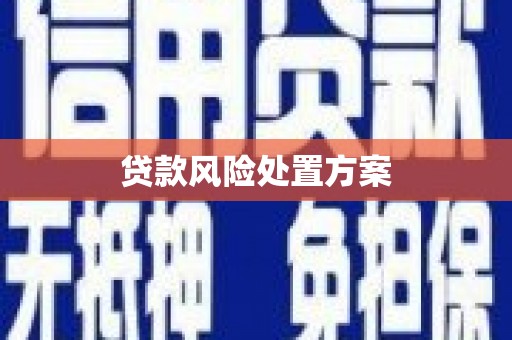 丰城贷款风险处置方案