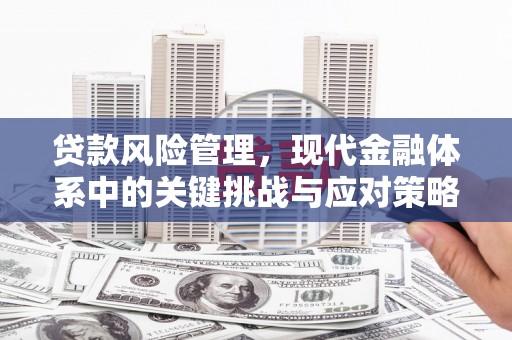 丰城贷款风险管理，现代金融体系中的关键挑战与应对策略