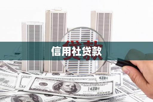 丰城信用社贷款
