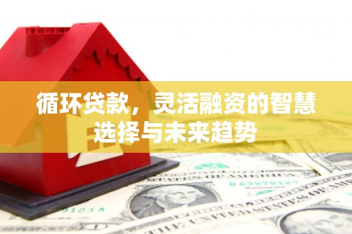 丰城循环贷款，灵活融资的智慧选择与未来趋势