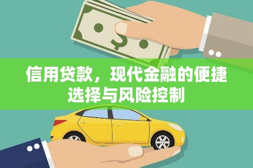 丰城信用贷款，现代金融的便捷选择与风险控制