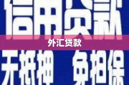 丰城外汇贷款