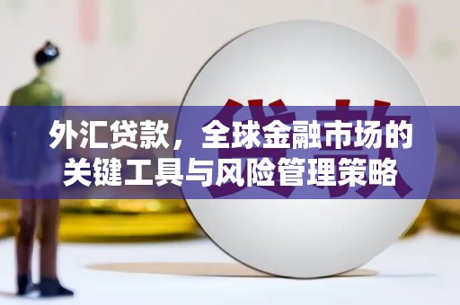 丰城外汇贷款，全球金融市场的关键工具与风险管理策略