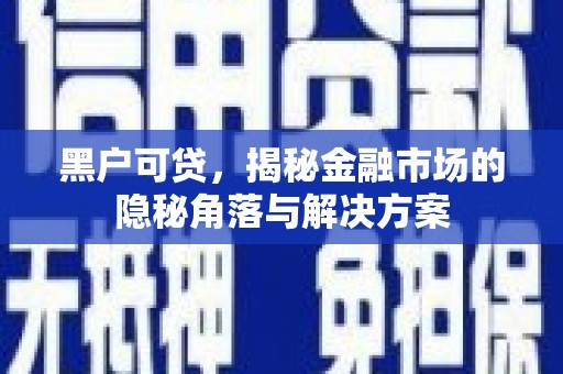 丰城黑户可贷，揭秘金融市场的隐秘角落与解决方案
