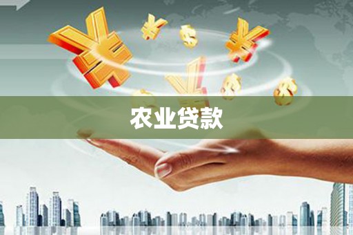 丰城农业贷款