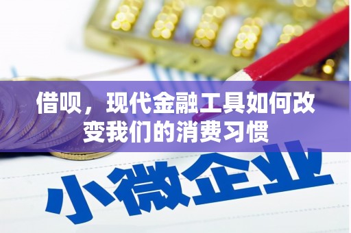 丰城借呗，现代金融工具如何改变我们的消费习惯