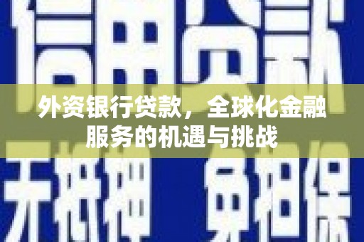 丰城外资银行贷款，全球化金融服务的机遇与挑战