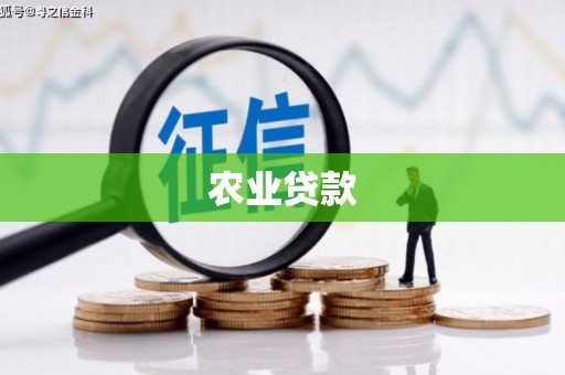 丰城农业贷款