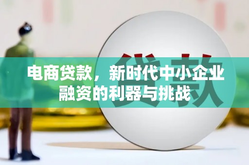 丰城电商贷款，新时代中小企业融资的利器与挑战