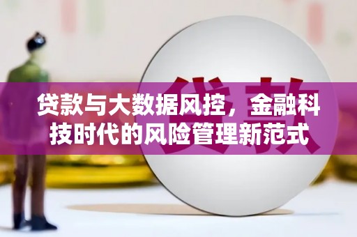 丰城贷款与大数据风控，金融科技时代的风险管理新范式