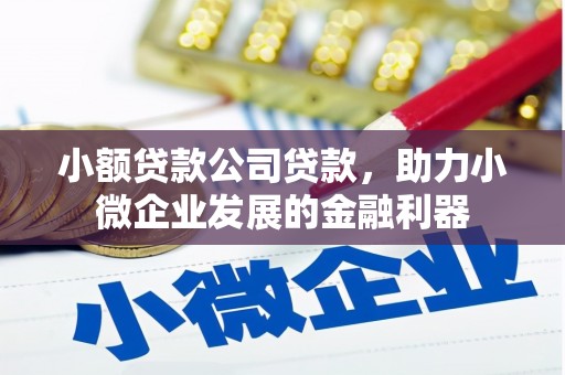 丰城小额贷款公司贷款，助力小微企业发展的金融利器