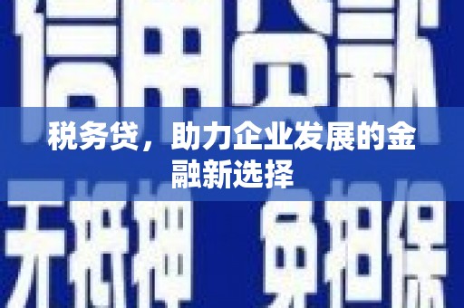 丰城税务贷，助力企业发展的金融新选择
