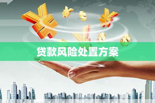 丰城贷款风险处置方案