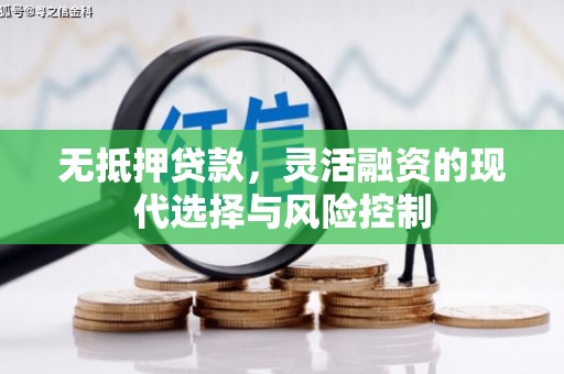 丰城无抵押贷款，灵活融资的现代选择与风险控制