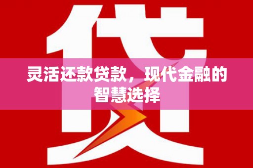 丰城灵活还款贷款，现代金融的智慧选择