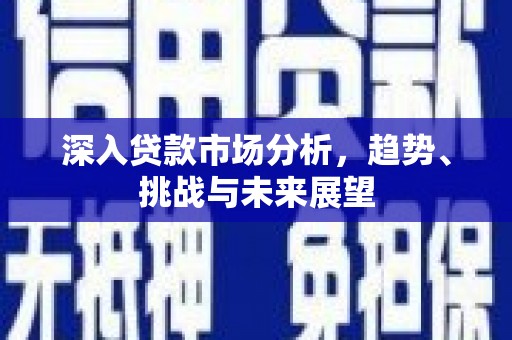 丰城深入贷款市场分析，趋势、挑战与未来展望
