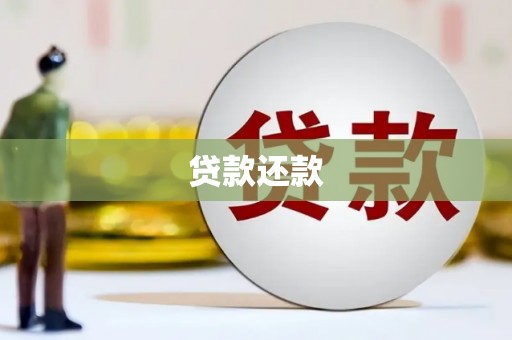 丰城贷款还款