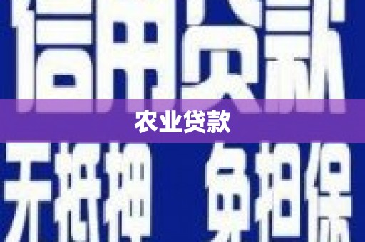 丰城农业贷款