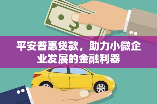 丰城平安普惠贷款，助力小微企业发展的金融利器