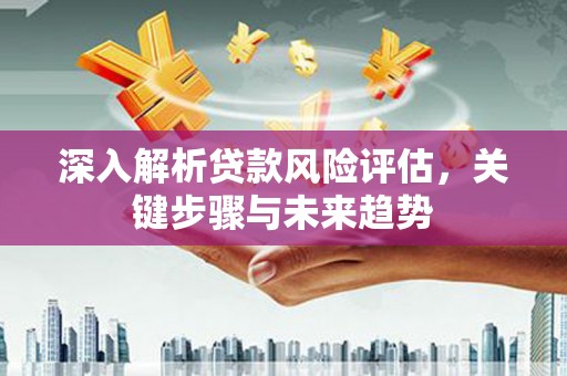 丰城深入解析贷款风险评估，关键步骤与未来趋势