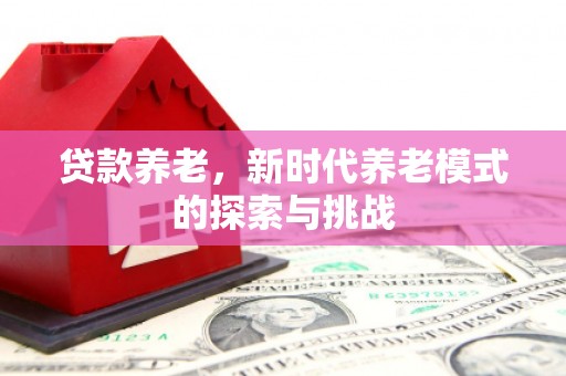 丰城贷款养老，新时代养老模式的探索与挑战