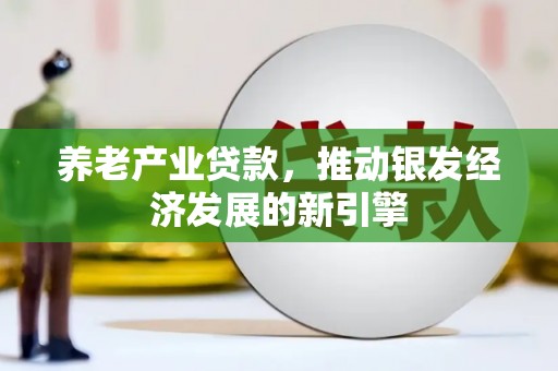 丰城养老产业贷款，推动银发经济发展的新引擎