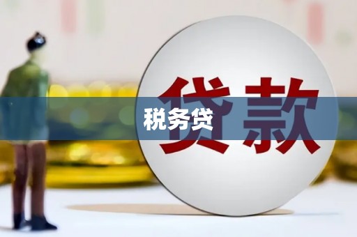 丰城税务贷
