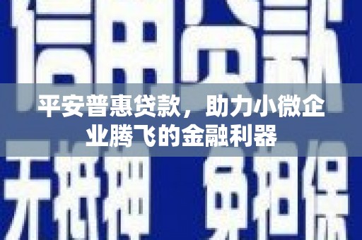 丰城平安普惠贷款，助力小微企业腾飞的金融利器